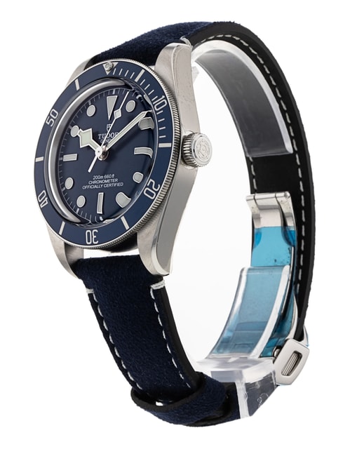 Tudor Black Bay 58 M79030B-0002 Image 2